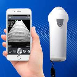 Ménage petit testeur de grossesse sans fil scanner vétérinaire mécanique échographie hine porc mouton bétail