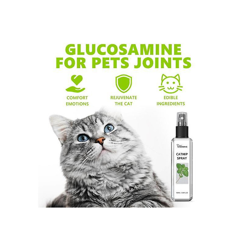 100ML Catnip Spray Relieve Anxiety Relaxation Cat Training Spray Natural Safe Health Care Spray Pet Supplies