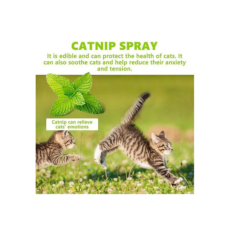 100ML Catnip Spray Relieve Anxiety Relaxation Cat Training Spray Natural Safe Health Care Spray Pet Supplies