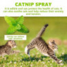 100ML Catnip Spray Relieve Anxiety Relaxation Cat Training Spray Natural Safe Health Care Spray Pet Supplies