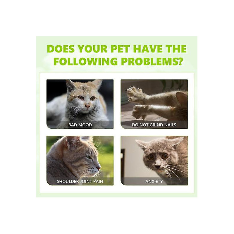 100ML Catnip Spray Relieve Anxiety Relaxation Cat Training Spray Natural Safe Health Care Spray Pet Supplies