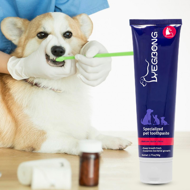 Dentifrice pour animaux de compagnie Combattre la mauvaise haleine Éliminer la plaque dentaire Santé dentaire [...]