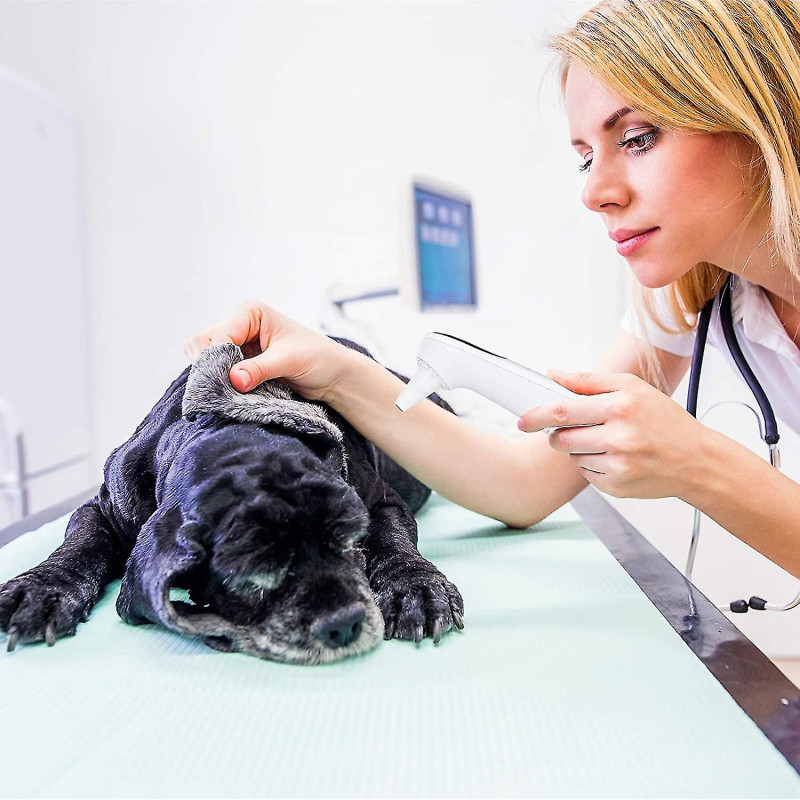 Moniteur de température d’oreille de chat et de chien Thermomètre pour animaux de compagnie uniquement