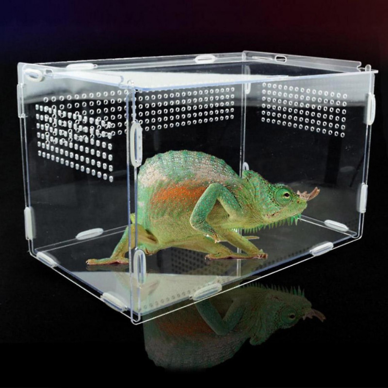 Transparent Acrylique Cellule de verre Reptile Fournitures pour animaux de compagnie pour animaux à sang froid [...]