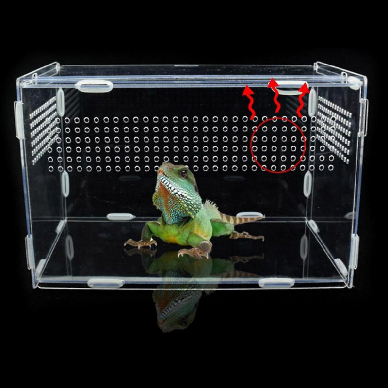Transparent Acrylique Cellule de verre Reptile Fournitures pour animaux de compagnie pour animaux à sang froid [...]