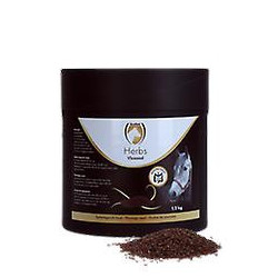 Excellent Herbs Vlozaad (Psylliumzaad)