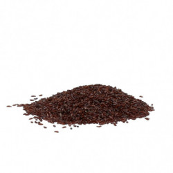 Excellent Herbs Vlozaad (Psylliumzaad)