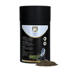 Excellent Herbs Tijm