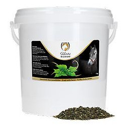 Excellentes herbes Ortie