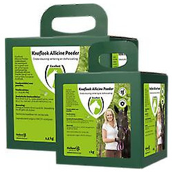 Garlic Allicin Powder EU (Knoflook poeder) BOX