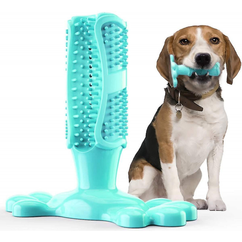 Dog Toothbrush Made Of Natural Rubber, Chew Toy For Teeth Cleaning, Dental Care, Puppy Training
