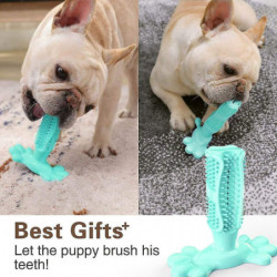 Dog Toothbrush Made Of Natural Rubber, Chew Toy For Teeth Cleaning, Dental Care, Puppy Training