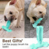 Dog Toothbrush Made Of Natural Rubber, Chew Toy For Teeth Cleaning, Dental Care, Puppy Training