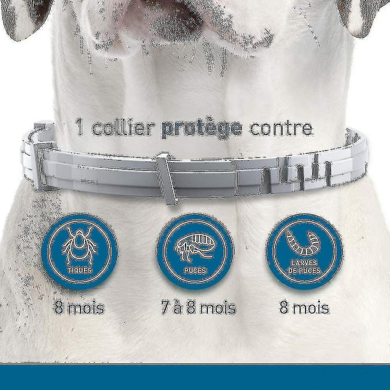 2er Pack Floh Zeckenhalsband Fr Groe Hunde (8kg) / Kleine Hunde / Ka