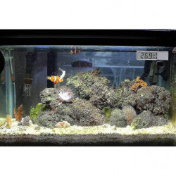 Aquarium Thermometer, 2 High Sensitivity Digital Aquarium Thermometers, Two Side Stickers, Accuracy Up To 0.1 [...]