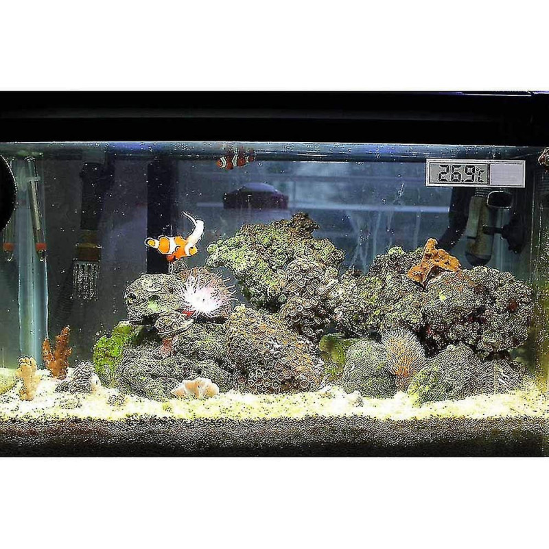 Aquarium Thermometer, 2 High Sensitivity Digital Aquarium Thermometers, Two Side Stickers, Accuracy Up To 0.1 [...]