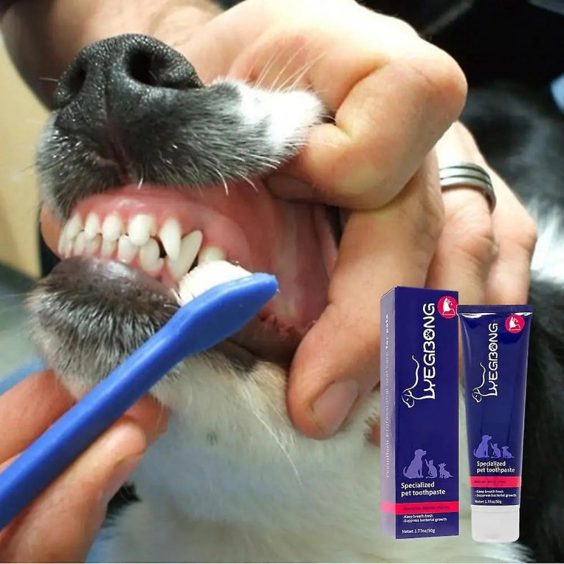 Crème de nettoyage bucco-dentaire pour animaux de compagnie Blanchir les dents Extrait de menthe poivrée pour la [...]