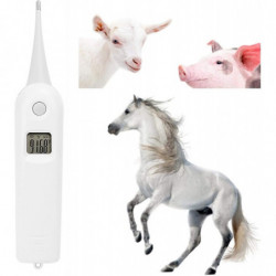 Thermomètre vétérinaire professionnel pour animaux de compagnie, thermomètre vétérinaire numérique