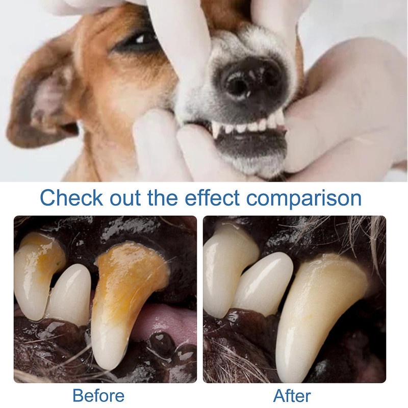 pcs Advanced Oral Care 60 ml Chien Mousse Détartrante pcs Advanced Oral Care 60 ml Chien Mousse Détartrante