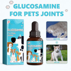 Gouttes de glucosamine pour animaux de compagnie, supplément de santé pour le soutien des hanches et des [...]
