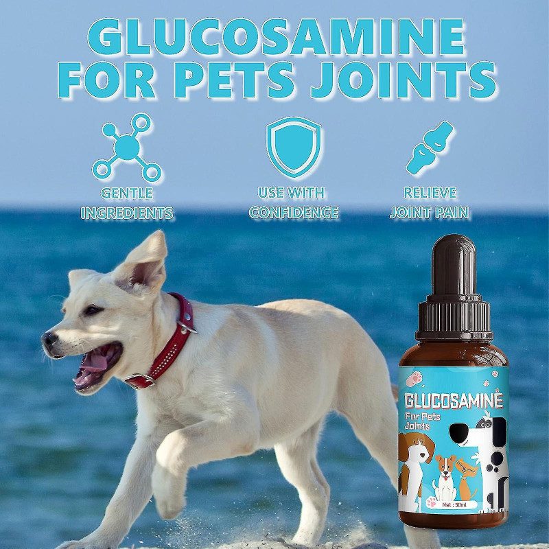 Gouttes de glucosamine pour animaux de compagnie, supplément de santé pour le soutien des hanches et des [...]