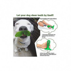 Dog Toothbrush For Cleaning Dog Teeth Pet Dental Care Toothbrush For Small Medium Breed Dogs Puppy