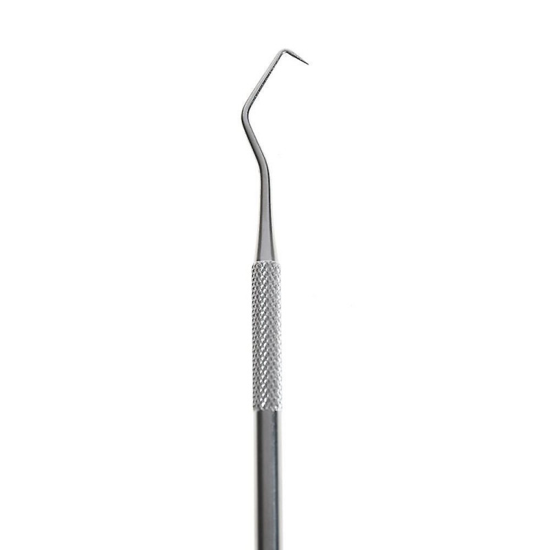 Double Ended Design Tooth Scaler, Dentistry Instrument, Teeth Cleaning
