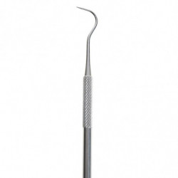 Double Ended Design Tooth Scaler, Dentistry Instrument, Teeth Cleaning