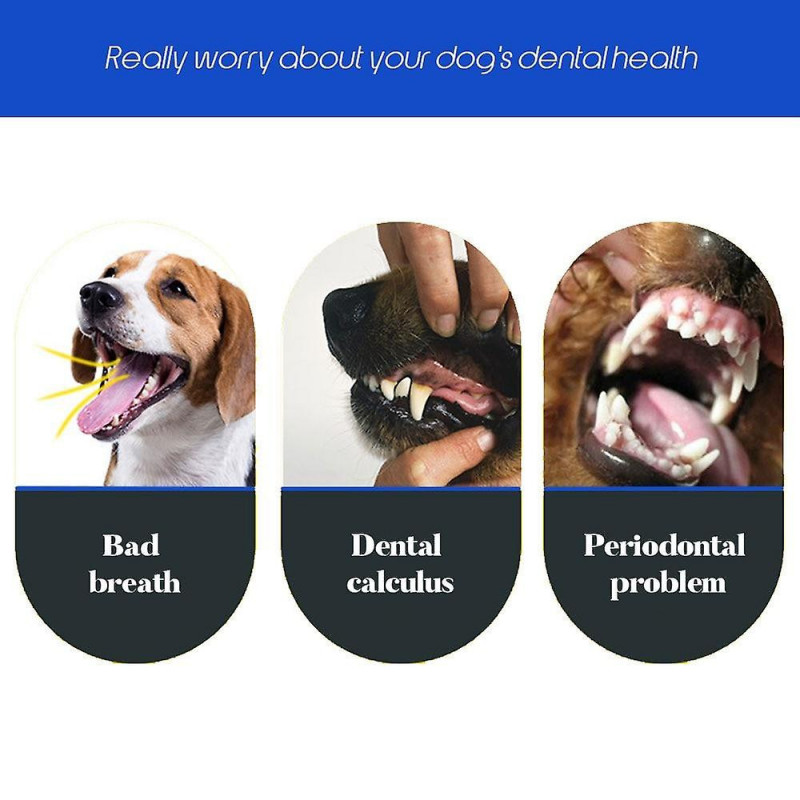 Dog Toothbrush Withthree Sided, Bad Breath Tartar Teeth Tool