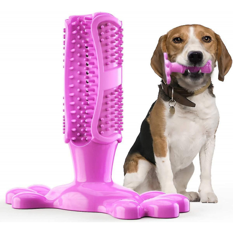 Dog Toothbrush Made Of Natural Rubber, Chew Toy For Teeth Cleaning, Dental Care, Puppy Training