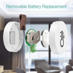 Mini electronic temperature and humidity meter