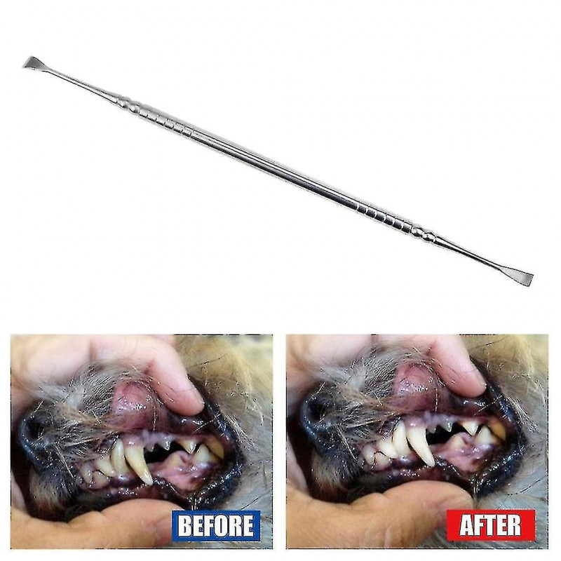 Dog Dental Tooth For Scaler And Scraper Pet Teeth Cleaning Tools For Cats Dogs