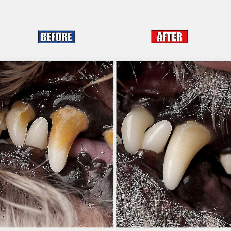 Dog Dental Tooth For Scaler And Scraper Pet Teeth Cleaning Tools For Cats Dogs