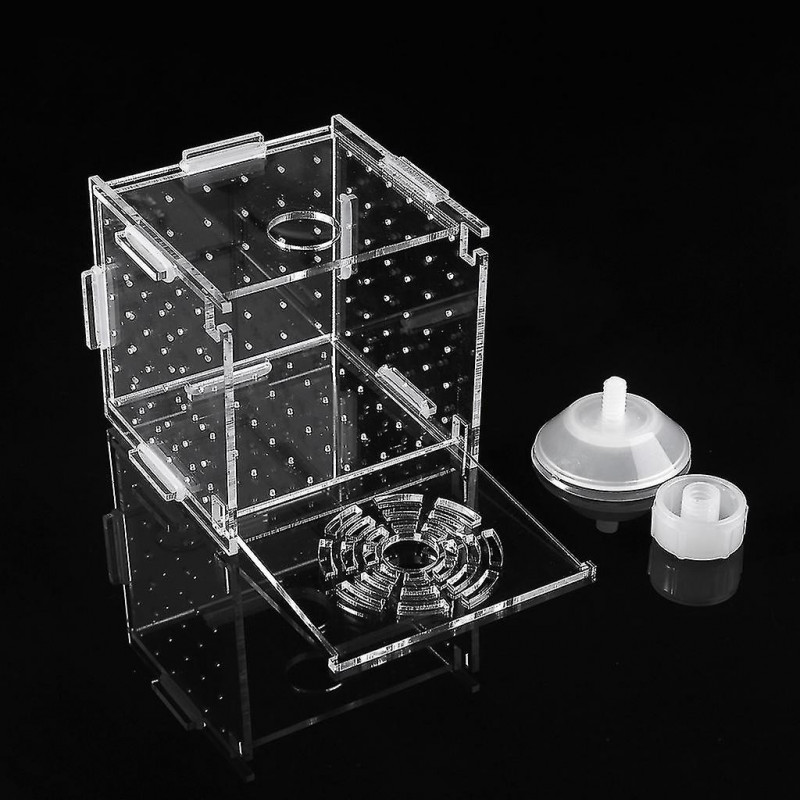Fish Breeding Box Aquarium Small Incubator With Suction Cup For Newborn Shrimp