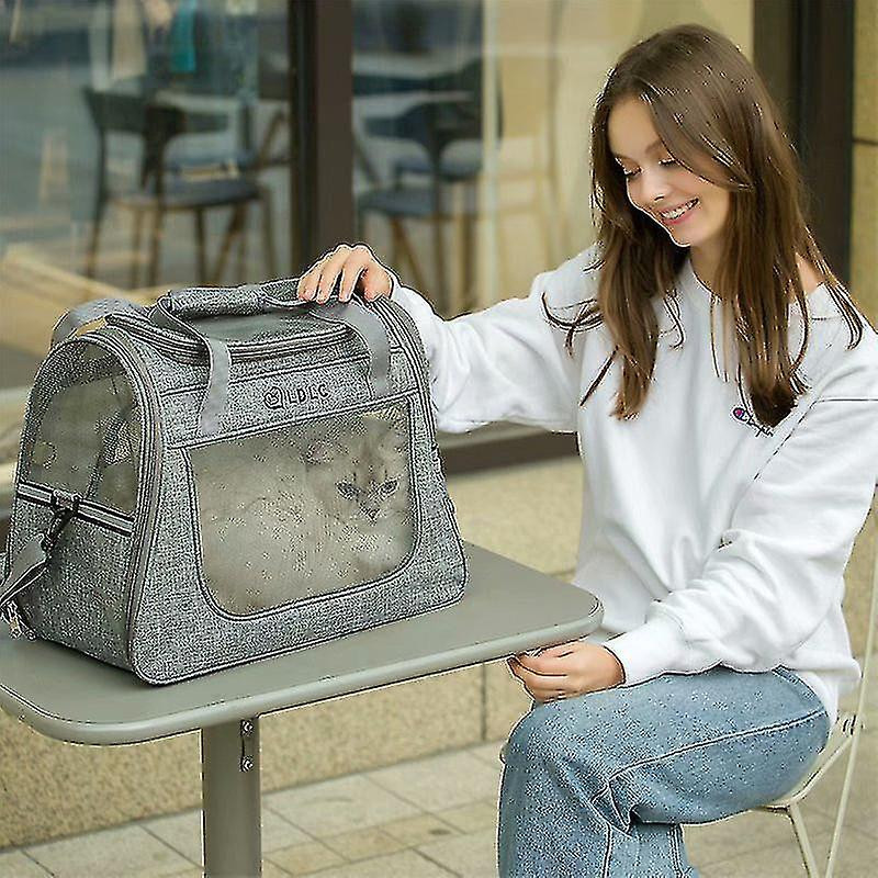 Large Side Window Transparent Mesh Travel One-shoulder Portable Pet Ba