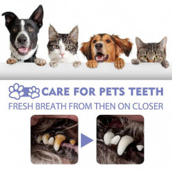 2pcs Pet Oral Spray Nettoyage des dents pour chiens et chats Mauvaise haleine Tartre Élimination de la plaque [...]