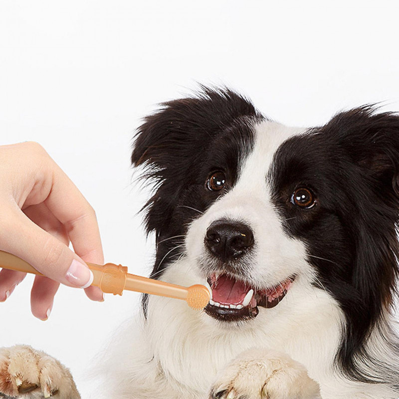 Pet Dog Toothbrush Toothpaste Set Oral Repair Sensitive Teeth Friendly Toothpaste For Eliminating Pet Bad Breath