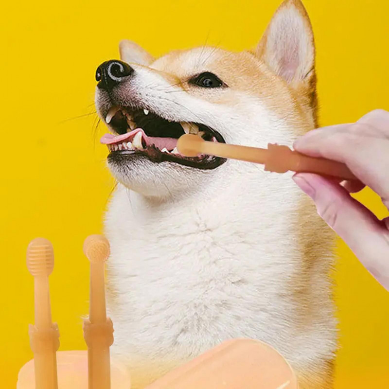 Pet Tongue Brush Set With Toothpaste Odor/tartar Removing Pet Tooth Set For House