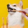 Pet Tongue Brush Set With Toothpaste Odor/tartar Removing Pet Tooth Set For House