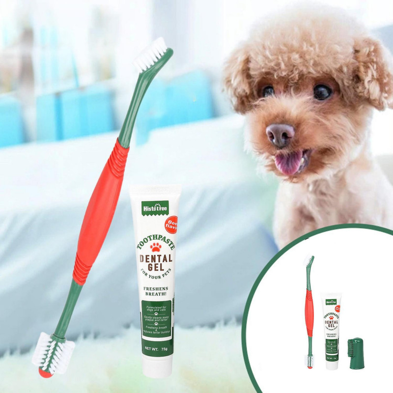 1 Set Pet Toothbrush Reduce Tartar Oral Cleaning Portable Pet Toothpaste Dog Tooth Cleaning Products
