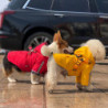 Pet Raincoat Hooded Design Reflective Strip Adjustable Buckle Zipper Closure Back Pocket Waterproof