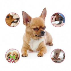 1-3pcs Pet Teeth Breath Cleaning Dog Cat Spray Care Cleaner 60ml Pet Breath Freshener