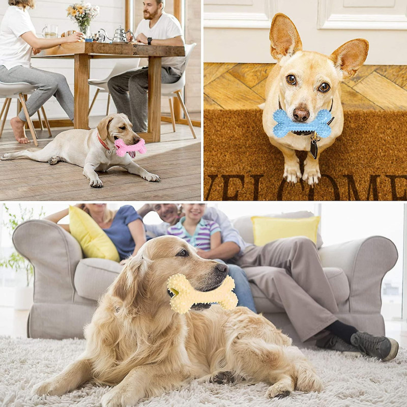 3 Pcs Jouets à mâcher pour chiens, Bâtonnets de brosse à dents pour animaux de compagnie en forme d’os, Nettoyage [...]