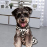 Pet Dress Super Soft Sleeveless Good Elasticity Thin Floral Print Summer Vest Dog Cat Princess Skirt