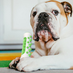 Exacher 2024 Best Dog Chew Toothbrush, Dog Teeth Cleaning Toys For Aggressive Chewers, Dog Toothbrush Care [...]