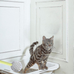 Sifter Shovel Litter Scoop - Durable Abs Plastic Litter Scoop