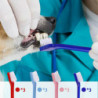 12pcs Pet Dog Dual Headed Toothbrushes Dog Tooth Gentle Dental Care Toothbrush
