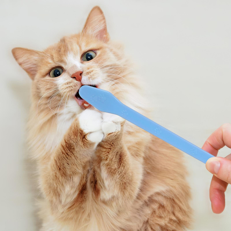 12pcs Pet Dog Dual Headed Toothbrushes Dog Tooth Gentle Dental Care Toothbrush