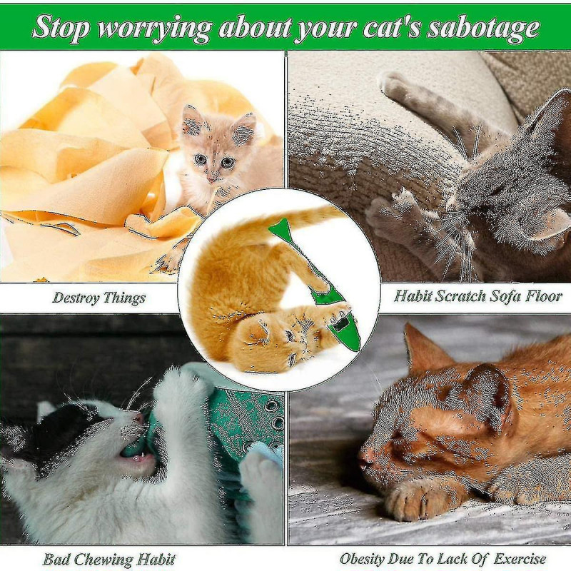 Pet teeth grinding stick, cat toothbrush, pet teeth grinding imitation shrimp, cat toy, cat supplies, pet supplies May