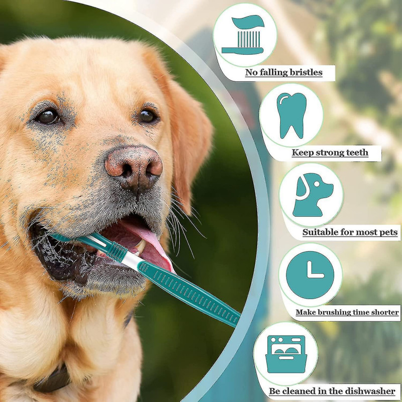 4 Pieces 3 Sided Dog Toothbrush Long Handle Pet Brush Canine Toothbrush Kit For Dental Care For Dogs And Cats [...]